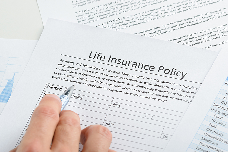 reviewing life insurance policy paperwork