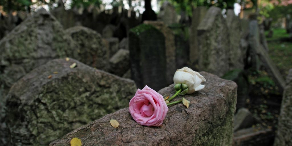 pink and white rose laying on tombstone